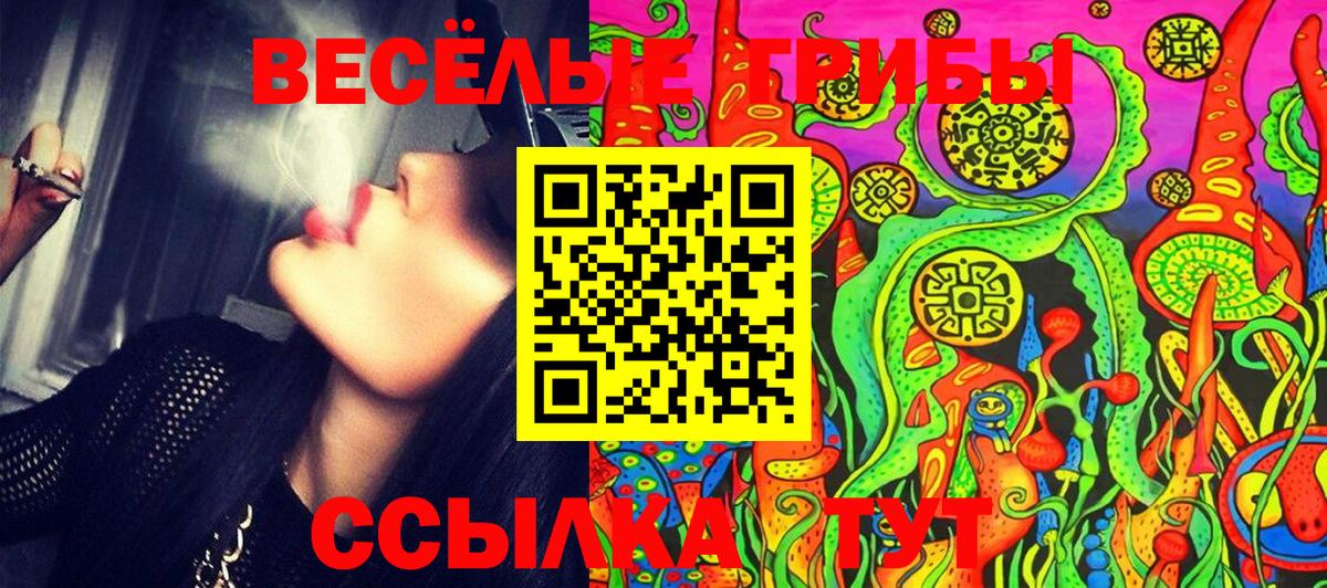 Псилоцибиновые грибы ЛСД  Псилоцибиновые грибы MAGIC MUSHROOMS  Вход с VPN  Димитровград 