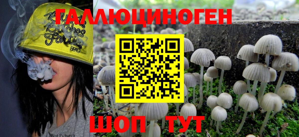Галлюциногенные грибы MAGIC MUSHROOMS Димитровград